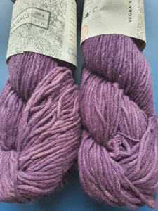 Arcturus (worsted)