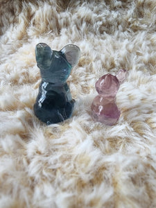 Fluorite FRENCHIE Carving