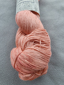 Albireo in Blush