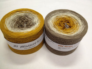 Wolltraum - My Melodyy Gradient Yarn: Wild Horses